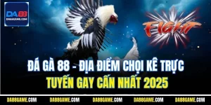Đá Gà 88 - Địa Điểm Chọi Kê Trực Tuyến Gay Cấn Nhất 2025
