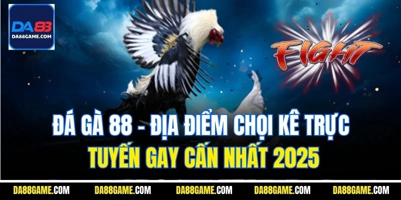 Đá Gà 88 - Địa Điểm Chọi Kê Trực Tuyến Gay Cấn Nhất 2025
