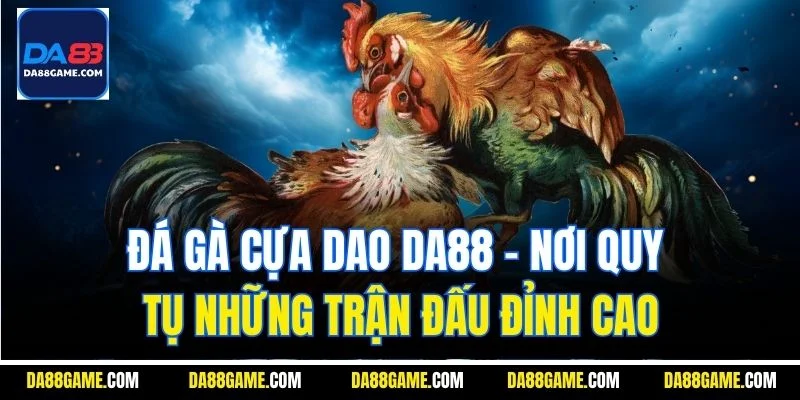 Đá gà cựa dao Da88 - Nơi quy tụ những trận đấu đỉnh cao