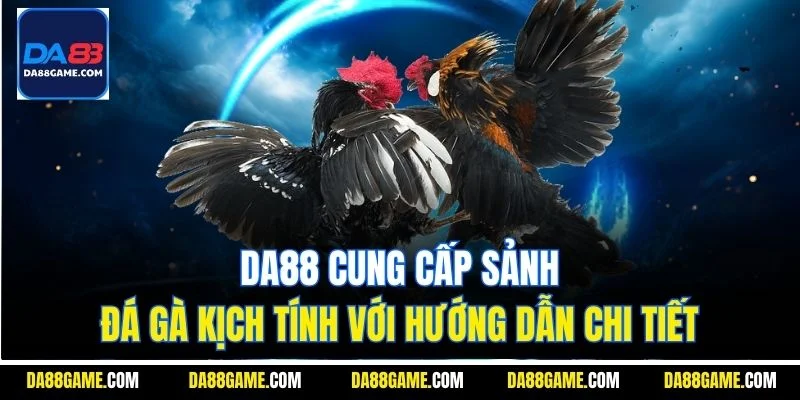 DA88 cung cấp sảnh đá gà kịch tính với hướng dẫn chi tiết