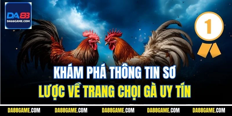 Khám phá thông tin sơ lược về trang chọi gà uy tín 
